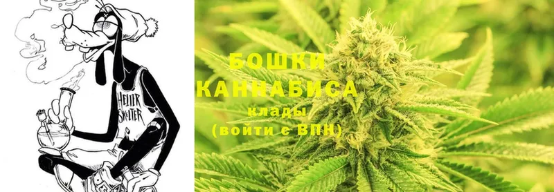 Бошки марихуана THC 21%  Кашира 